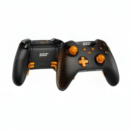 Two Game Controllers